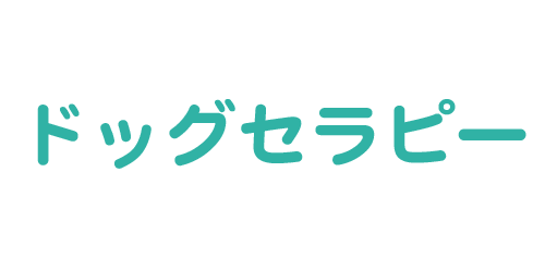 ギャラリー